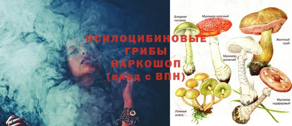 трава Александровское