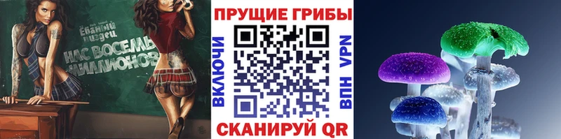 Галлюциногенные грибы Psilocybe  мега как войти  Первоуральск  наркошоп 